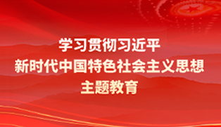 学习贯彻习近平新时代中国特色社会主义思想主题教育