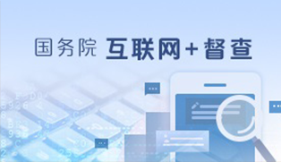 国务院互联网+督察