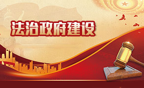 法治政府建设